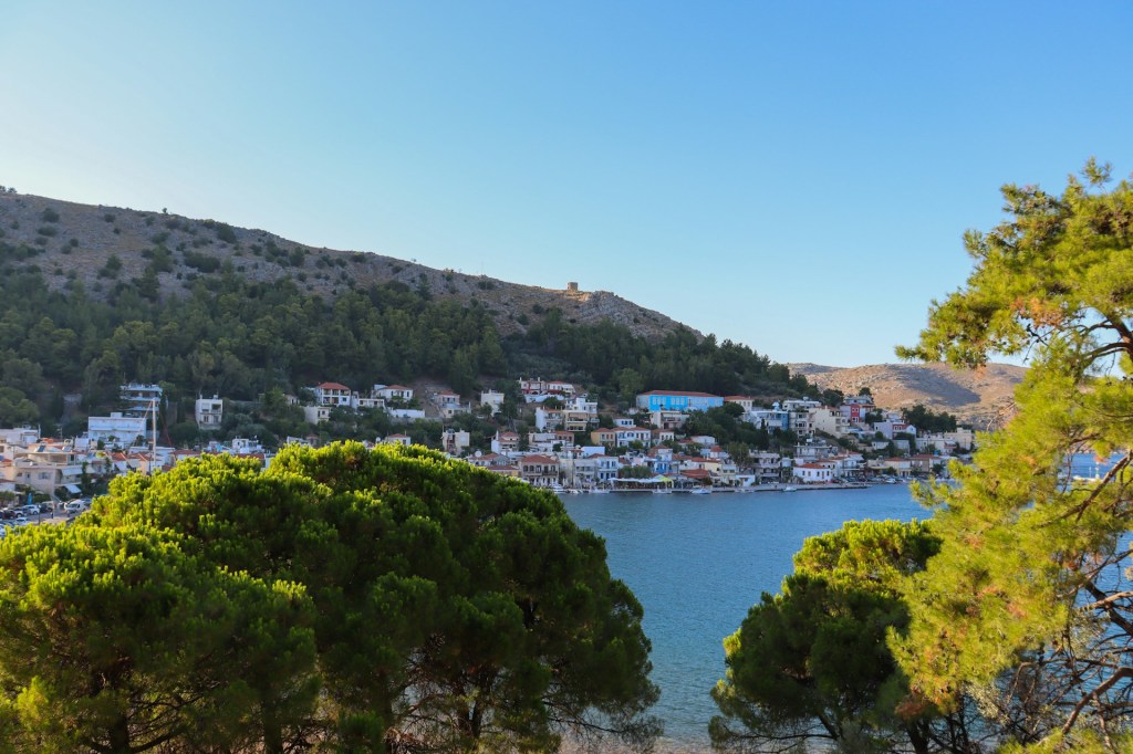 Μαστίχα Χίου: Τι Είναι, Πώς Παράγεται & Γιατί Έχει Τόση Ζήτηση Παγκοσμίως